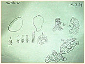 Mathew's Snakes on Rocks