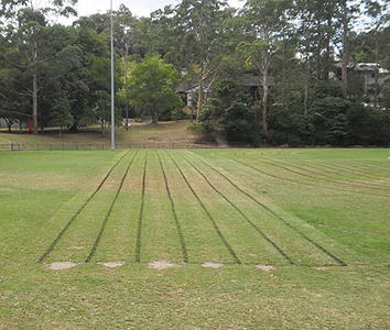 A photo of a 100 metre running track in a park.