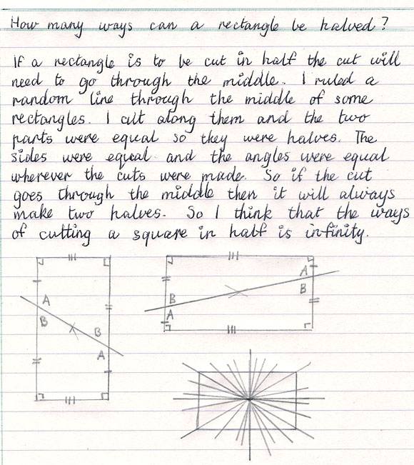 Rectangles with central points marked and straight lines drawn through the centres to divide them into halves, with corresponding sides and alternate interior angles marked as being equal.